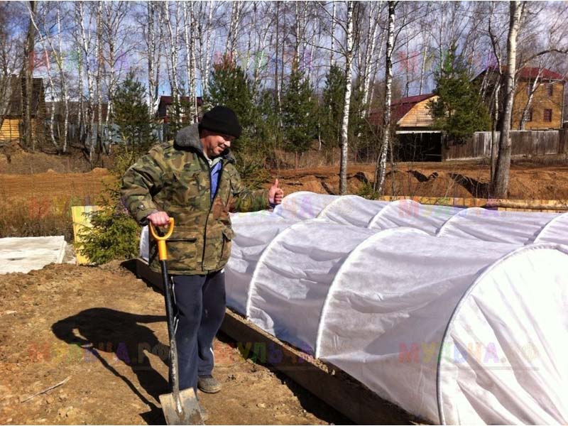 Парники В Интернет Магазине Удачный Сезон